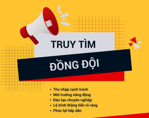 lĩnh vực hoạt động